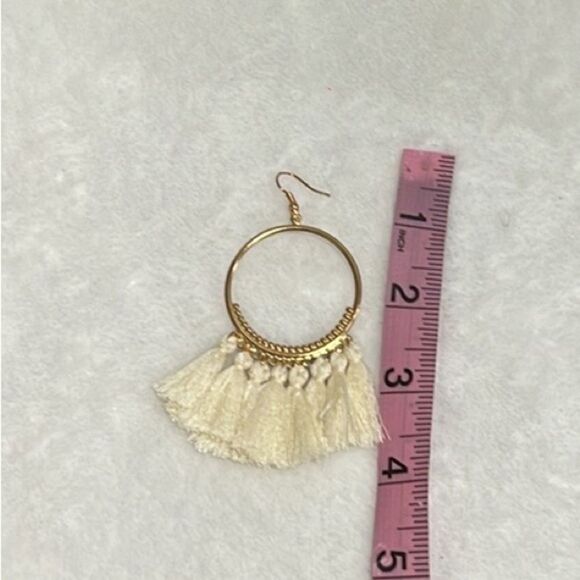NWOT Tassel hoop fishhook earrings - Picture 4 of 4